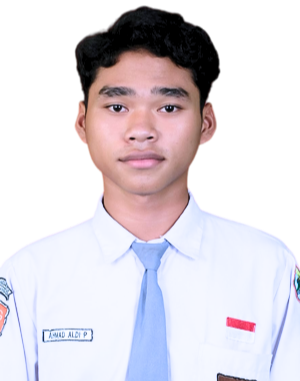 Ahmad Aldi P.